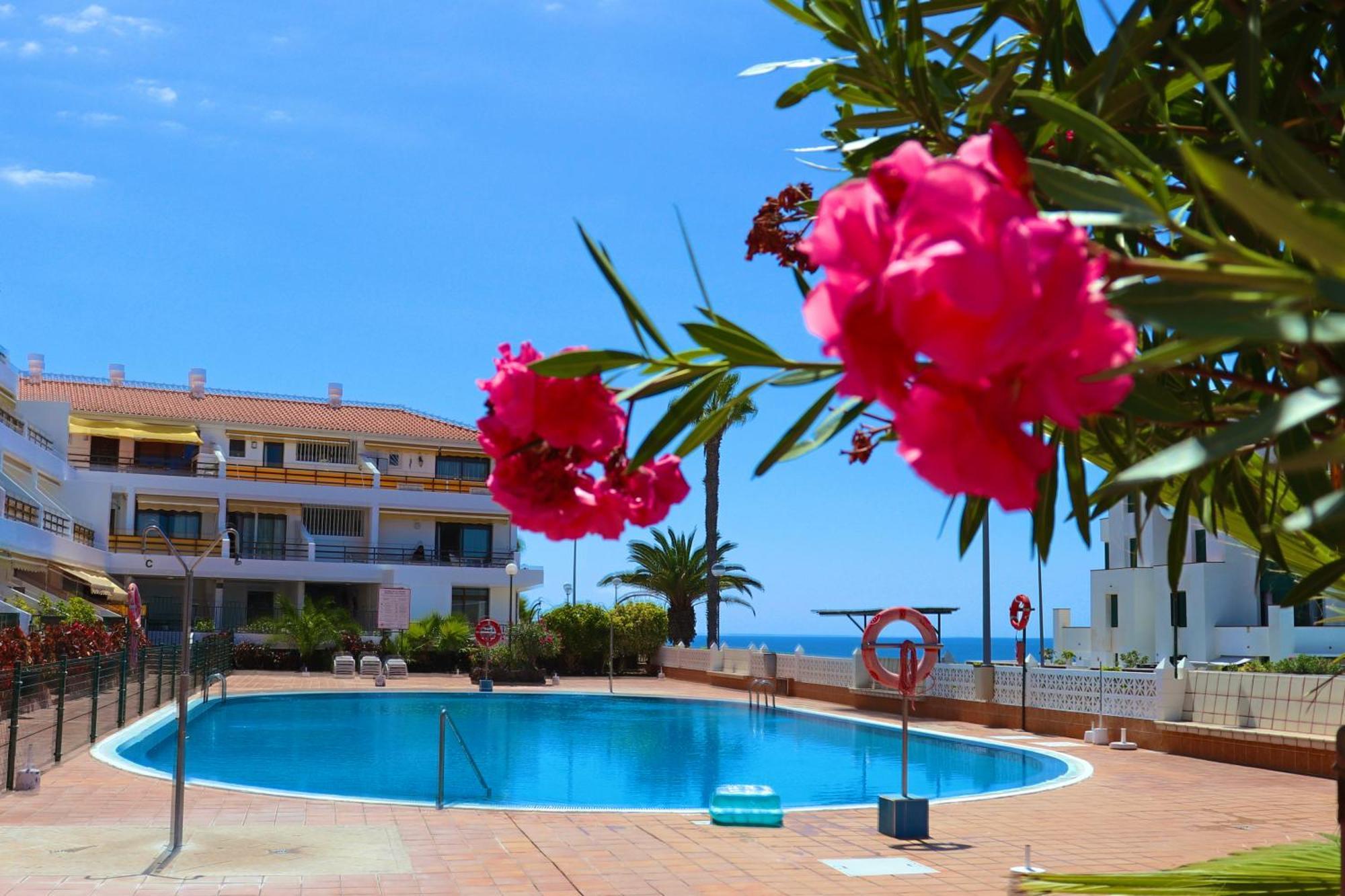 Sunflower Apartment Just Relax Puerto de Santiago  Esterno foto